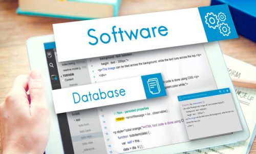 software development